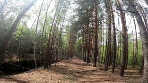 Сквозь мещёрские СНТушки