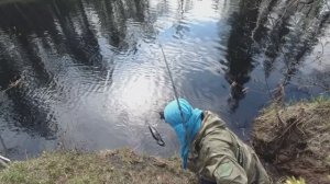 ОТ ТАКОЙ РЫБАЛКИ МУРАШКИ. Огромная Щука на Малой Реке. РЫБАЛКА МЕЧТЫ