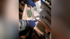 Тайник в доме родственников