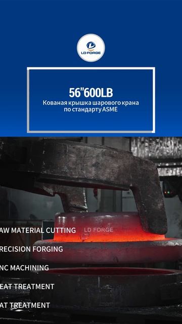 56'' 600LB Кованая крышка шарового крана по стандарту ASME-LD FORGE
