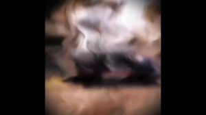 Эдит про машины