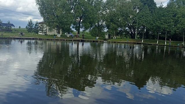 1000098939.mp4 смотреть онлайн