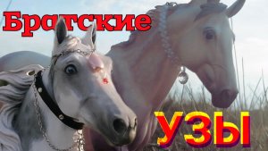 Сериал Breyer. Братские узы. Серия 1