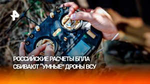 Операторы «Соколов» развернули охоту на «умные» беспилотники Hornet ВСУ