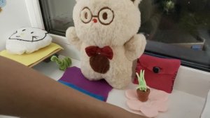VID_20260527_214954.mp4