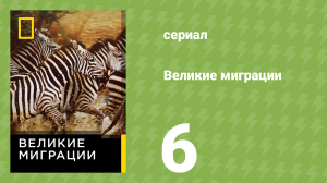Великие миграции 1 сезон 6 серия (документальный сериал, 2010)