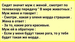 Изменил_Своей_Бывшей_с_Другой!_Анекдоты_Смешные_до_Слез!_Юмор!