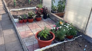 🏡 Второй день тепла 🥰 Продолжаем высаживать цветы и овощи.
