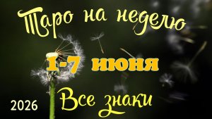 Таро-прогноз🎀на неделю с 1 по 7 июня 🔥Тайм-код в описании🕊