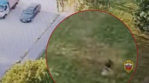 Полицейскими задержан иностранец, подозреваемый в убийстве мигранта на юго-востоке Москвы