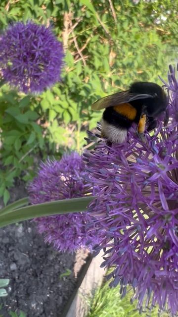 27-05-2026 работа кипит 🐝