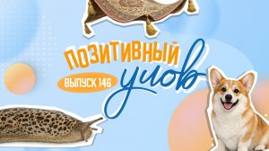 Полеты на коврах и большое сердце. «Позитивный улов»