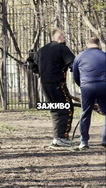 УКУСИЛА СОБАКА смотреть онлайн