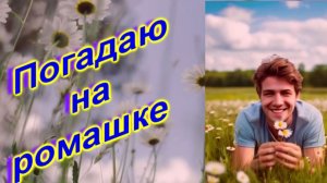 DiMarush Погадаю на ромашке 🌼 💕