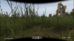 ИГРА ДЭЙЗ dayz