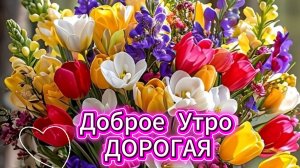 Доброе утро и прекрасного настроения женщине – красивая музыкальная открытка