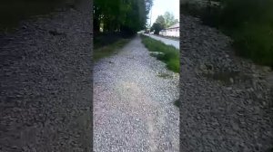 вечерний стрим