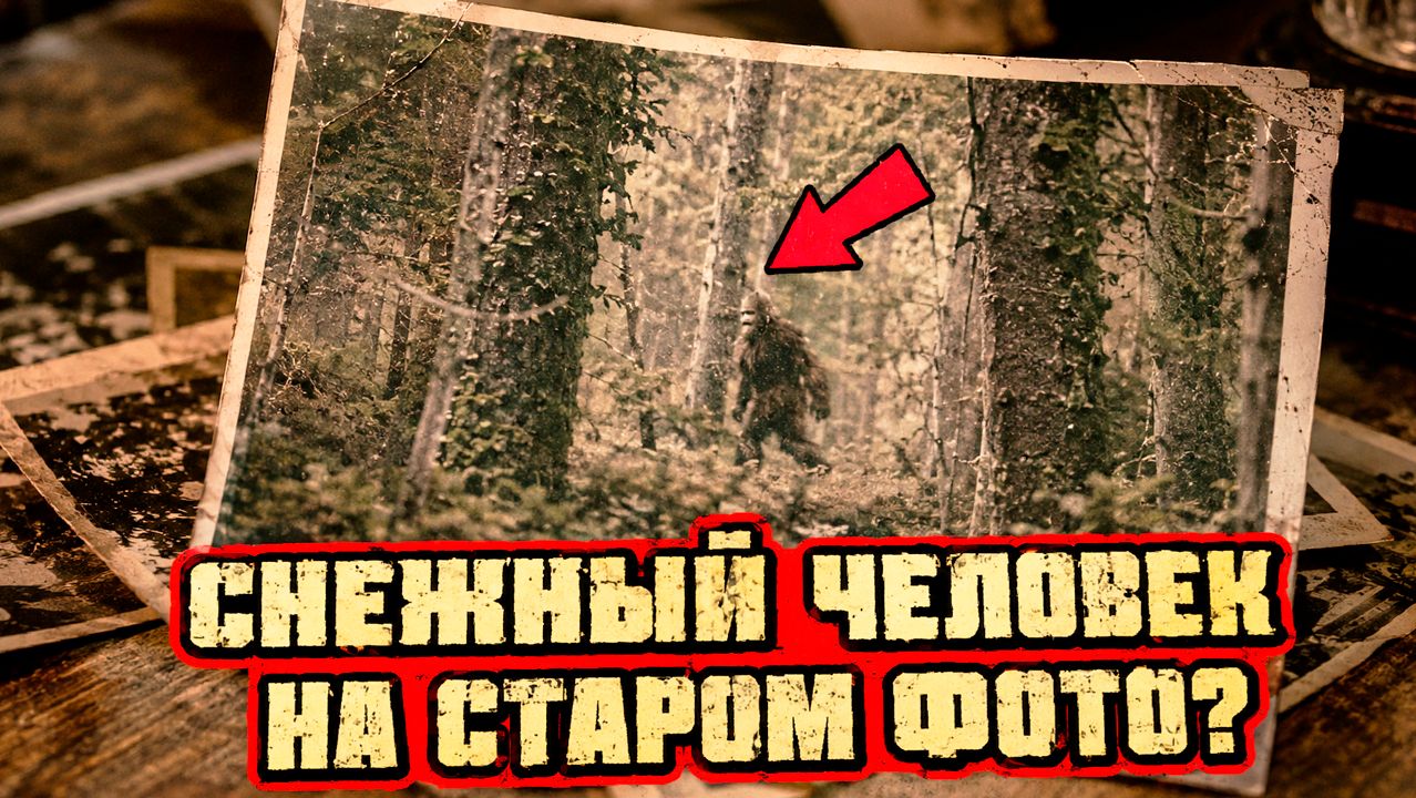 В старом семейном архиве нашли фото возможного «Снежного Человека» снятого где-то в Австралии