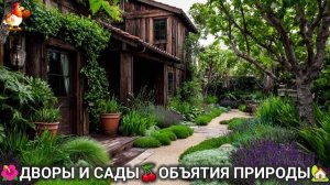 Дворы и сады 🍒 идеи оформления дачи в объятиях природы 🏡 (12) 🍒