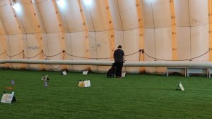 RO2, Дронова Екатерина, Алмадинакс Шаровая молния, Кубок Панды по Ралли Обидиенс 2026
