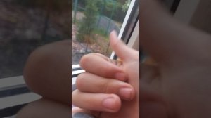 1000002531.mp4