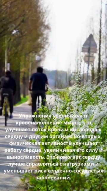 Движение-один из способов профилактики ССЗ #профилактика #сердце #движение #здоровье
