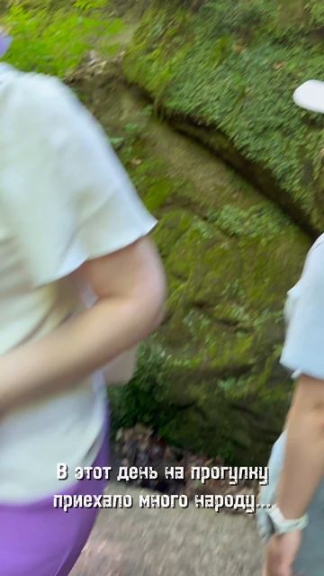 NintenDEN Travel (shorts)