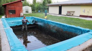 Чищу Свой Лягушатник на 35 Кубов! Курицы Начали Нести Яйца!