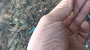 Рыбалка на спиннинг,  мормышинг , на Шиловском Озере, город Воронеж, 25.05.2026 года
