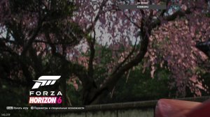 Forza Horizon 6 онлайн гонки дрифт + тогэ