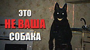 Как распознать симулякра? «Записи об аномалиях от К.О.Н.Т.У.Р. « ЗАПИСЬ № 148.