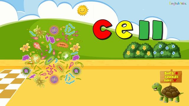 Songs for kids