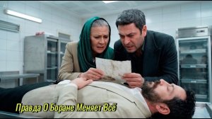 Далекий Город Сегодня  Правда О Боране Меняет Всё