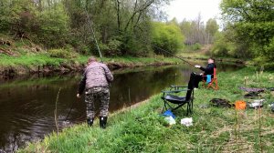 Рыбалка на поплавок впроводку на душевной речке Сестра