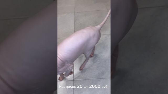 #Обзор посылки из Китая, часть 2 LAVlab Китай байер https://vk.ru/lavlab91 смотреть онлайн