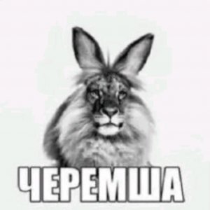мармелад
