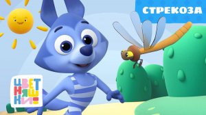 Стрекоза | Цветняшки | Серия 32 | познавательный мультик для малышей 0+