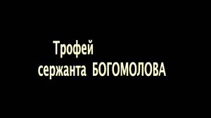 Трофей сержанта Богомолова (2011)