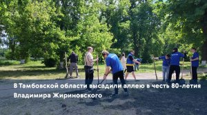 В Тамбовской области высадили аллею в честь 80-летия Владимира Жириновского