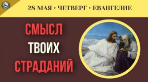 Почему Господь не обещает верующим легкую жизнь без скорбей и потерь I 28 мая (5 минут)