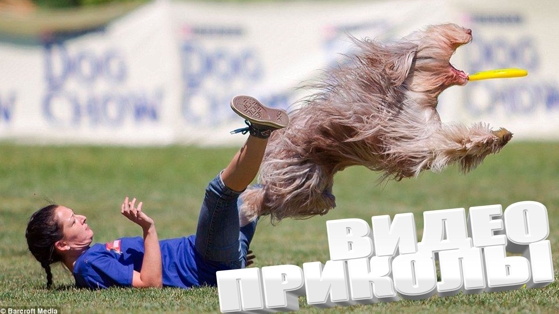 Лучшие приколы и видео 2025 \ СМЕШНЫЕ ВИДЕОПРИКОЛЫ Чудики из ТИК ТОК 🤣😎👍