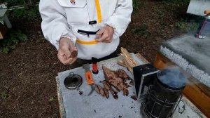 27 мая ЛУЧШЕЕ ТОПЛИВО для ДЫМАРЯ