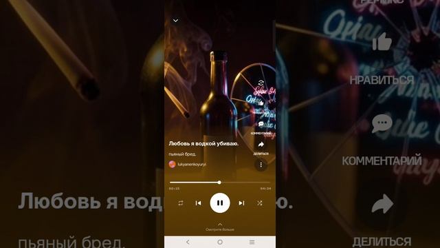 пьяный бред.mp4