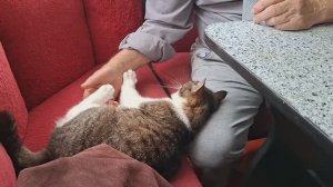 Коротко о погоде в КК😡 они стали лучшими друзьями🤞остановка в Лермонтово