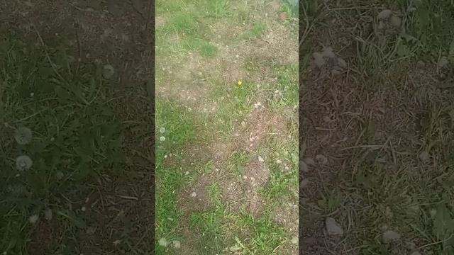 🤣🤣🤣😂🤣😂🤣😂🤣😂🤣 приколы🤣😂🤣🤣🤣🤣🤣🤣🤣🤣🤣🤣🤣🤣🤣🤣🤣🤣