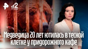 Медведица Маша 20 лет ютилась в тесной клетке у придорожного кафе