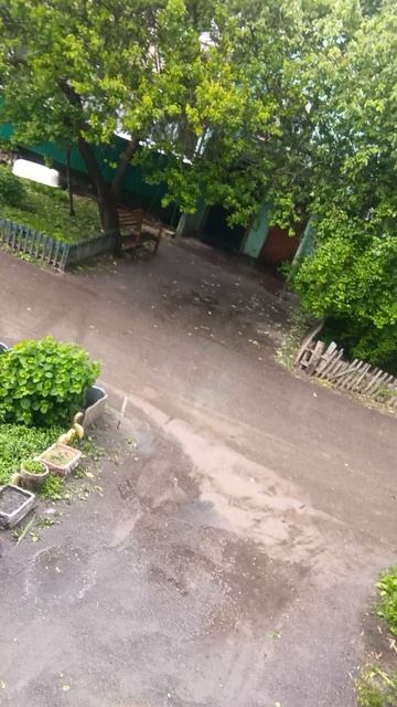 забрался на крышу