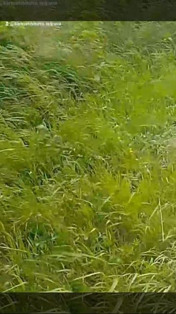 1000053053.mp4