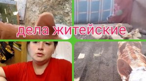 утряняя управка/ мы можем только поддержать его решение/