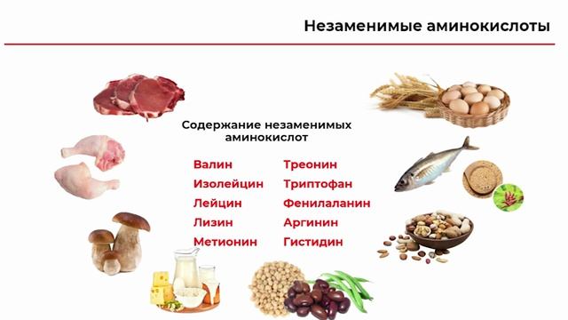 03 виды белков